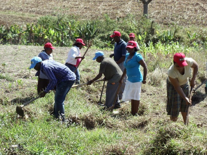 Participants preparing the ground for the organic food garden