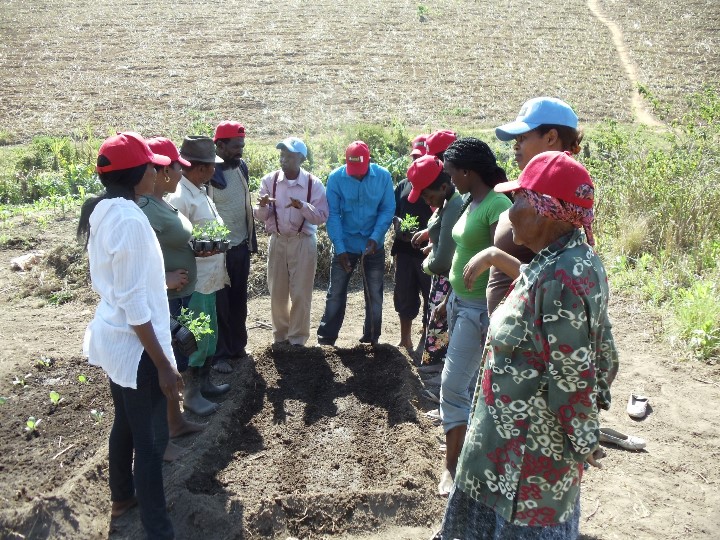 Participants receiving planting instructions