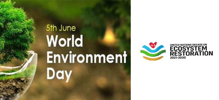 World environmental day 2020.jpg