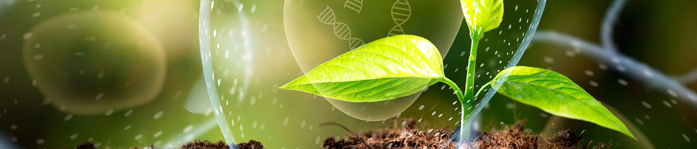 Environmental-Sciences.jpg