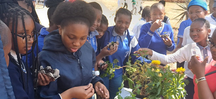 Mothong African Heritage Project Site in Mamelodi