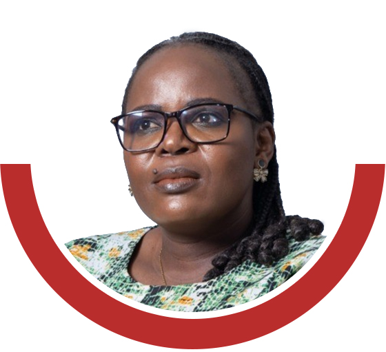 Prof Mpfariseni Budeli-Nemakonde