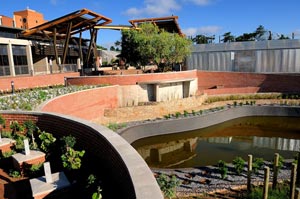 Unisa Science Campus in Pictures