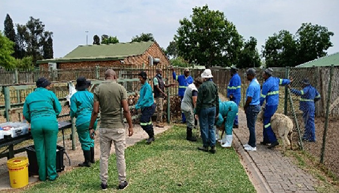 Banner_Work intergrated.png