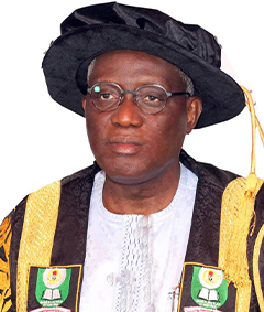 Professor-Olufemi-Peters-body.jpg