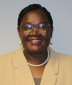 Dr Mary Ooko Manager: Unit for Distance Education  University of Pretoria South Africa