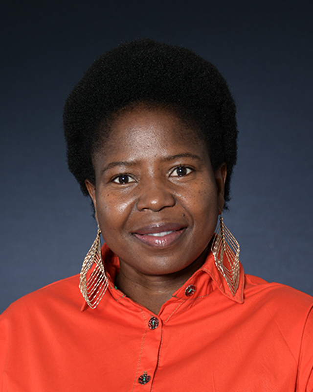 Prof NO Mapholi
