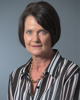 Prof E Odendaal