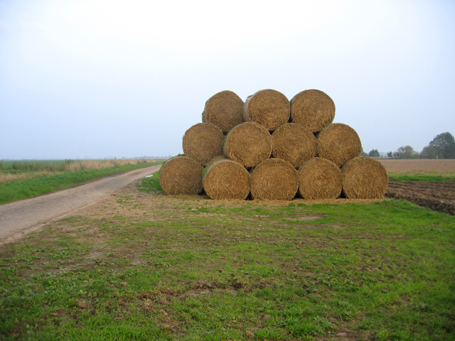 File:85 round straw bales beside North Drove, Bicker Fen, Lincs - geograph.org.uk - 260244.jpg