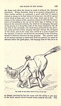 1871, page 135