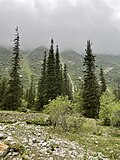 * Nomination Ala Archa gorge. Chuy region, Kyrgyzstan. By User:Baydastann --Красный 05:57, 27 May 2025 (UTC) * Promotion  Support Good quality. --Екатерина Борисова 01:26, 29 May 2025 (UTC)