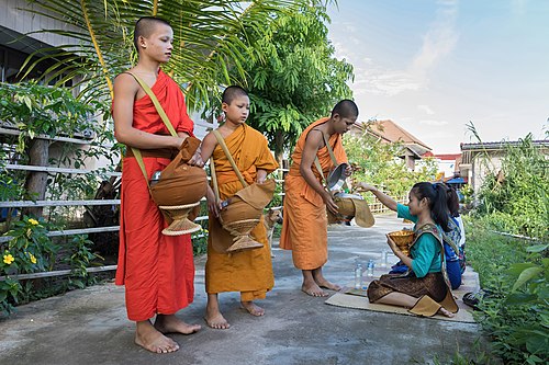 Buddhist alms in Si Phan Don