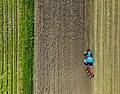 * Nomination Tractor New Holland T6.165 plowing --PetarM 15:22, 7 May 2025 (UTC) * Promotion  Support Good quality. --XRay 16:12, 7 May 2025 (UTC)