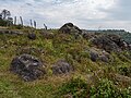 * Nomination Wildflowers amidst rocks on grass-covered hills, Mawphanlur, Eastern West Khasi Hills --Tagooty 00:57, 9 May 2025 (UTC) * Promotion  Support Good quality. --Jakubhal 03:45, 9 May 2025 (UTC)