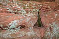 * Nomination: Devil's Forge; Hinterweidenthal, Rhineland-Palatinate, Germany --Llez 05:00, 8 May 2025 (UTC) * * Review needed