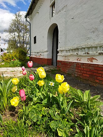 Yellow and red tulips in front of St. Stephen's Church