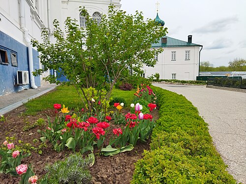 Flowers in a monastery