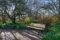 * Nomination Bench at Südpark Düsseldorf, Germany --A. Öztas 12:52, 27 May 2025 (UTC) * Promotion  Support Good quality. --Velvet 08:45, 28 May 2025 (UTC)