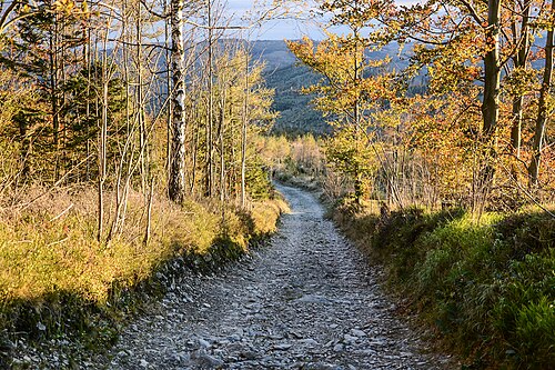 Hiking trail to Biskupská kupa, Czechia
