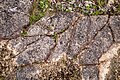 * Nomination Geological outcrop in the former quarry near Weyer (Gochsheim) --Plozessor 02:37, 9 May 2025 (UTC) * Promotion  Support Good quality. --Tagooty 03:11, 9 May 2025 (UTC)
