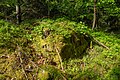 * Nomination Rock in the forest near the former Burgpreppach quarry --Plozessor 03:05, 8 May 2025 (UTC) * Promotion  Support Good quality. --Ermell 05:32, 8 May 2025 (UTC)
