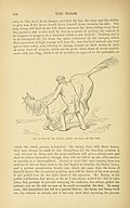 1907, page 198