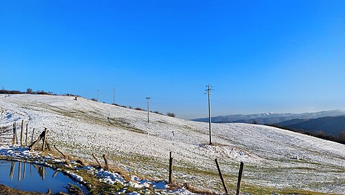 Mountain pastures and meadow shrubs