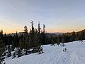 * Nomination Dawn near treeline --Buidhe 00:59, 3 May 2025 (UTC) * Promotion  Support Good quality. --Екатерина Борисова 00:27, 8 May 2025 (UTC)