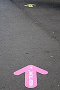 * Nomination Photographed to the May 10th, 2025 in the Basel (Switzerland). By --Ahmet Düz 08:45, 29 May 2025 (UTC) * Decline  Oppose Very blurry --Poco a poco 09:04, 29 May 2025 (UTC)