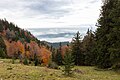 * Nomination Hochries, Chiemgau Alps, Germany --Poco a poco 06:07, 7 May 2025 (UTC) * Promotion  Support Good technical quality, but extra categorisation and/or more precise location would be useful --Benjism89 10:49, 7 May 2025 (UTC)