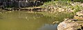 * Nomination Lake at the southern edge of Burgpreppach quarry --Plozessor 03:29, 29 May 2025 (UTC) * Promotion  Support Good quality. --Ermell 07:04, 29 May 2025 (UTC)