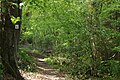 * Nomination: Schoellkrippen, protected landscape area LB-01260, 671L0017 'Schmerhohle', in nature park 'Bayerischer Spessart' --KaiBorgeest 21:59, 6 May 2025 (UTC) * * Review needed