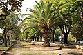 * Nomination Gardens in San Giuliano Terme (Pisa), Italy --DnaX 16:45, 28 May 2025 (UTC) * Decline  Oppose Poor detail, strong CA, lack of perspective correction, burnt sky. Far from QI. --Poco a poco 19:33, 28 May 2025 (UTC)