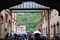 * Nomination: Photographed to the April 26th, 2025 in the Rheinfelden AG (Switzerland). By --Ahmet Düz 15:39, 9 May 2025 (UTC) * * Review needed