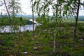 * Nomination: Piteälven northeast of Storforsen --Brackenheim 18:46, 4 May 2025 (UTC) * * Review needed
