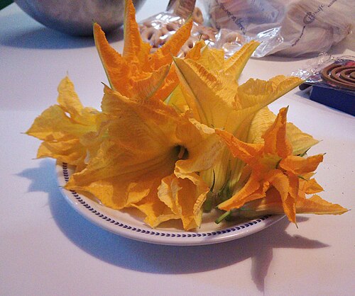 Fried squash flowers