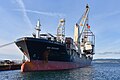 * Nomination General cargo ship, BBC Rosario, unloading pleasure craft at Ogden Point Pier, Victoria BC Canada --GRDN711 17:50, 7 May 2025 (UTC) * Promotion  Support Good quality. --Acroterion 03:04, 8 May 2025 (UTC)