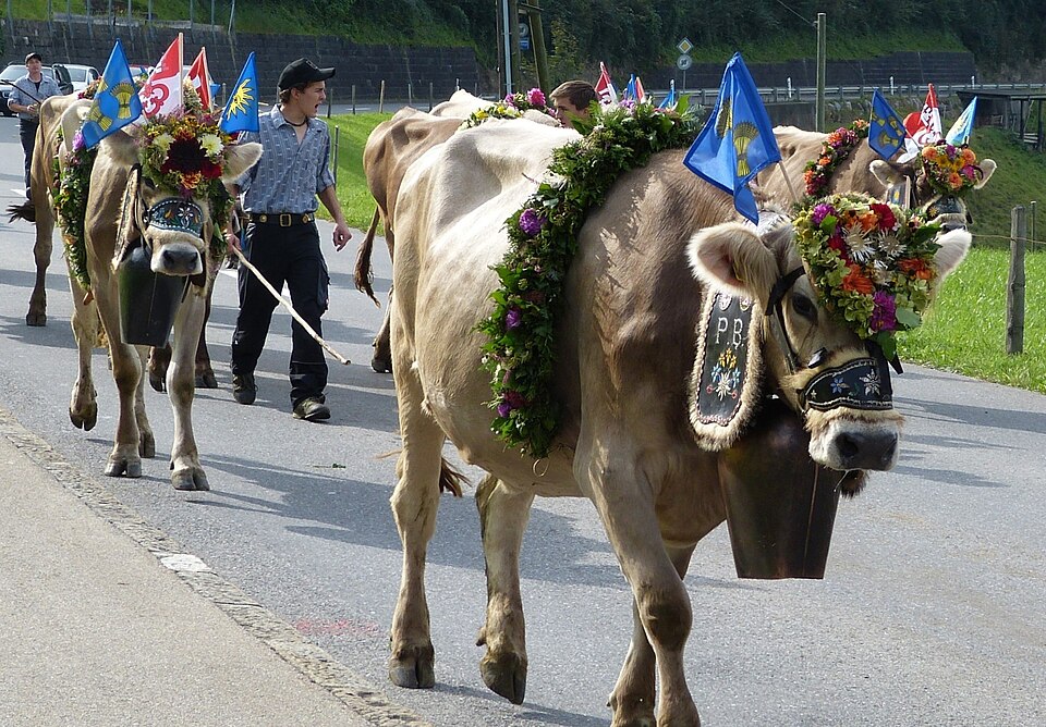 Cattle Descent in Kerns, Switzerland, a fall tradition