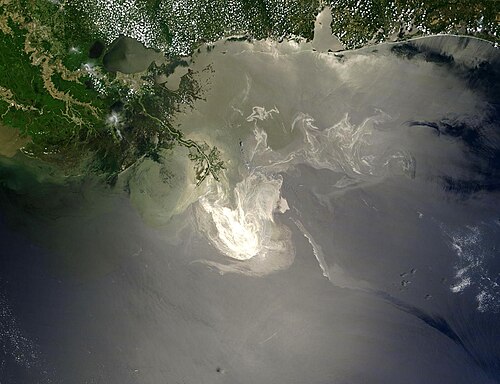"Sunlight illuminated the lingering oil slick off the Mississippi Delta on May 24, 2010. The Moderate Resolution Imaging Spectroradiometer (MODIS) on NASA’s Terra satellite captured this image the same day."