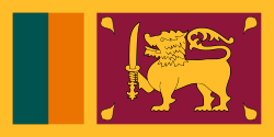 The Sri Lankan flag was kept after being nominated for deletion, as the lion design was not new and everything else was basic shapes.