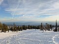 * Nomination Daybreak at treeline on Mount Adams --Buidhe 18:15, 10 May 2025 (UTC) * Promotion  Support Good quality. --MB-one 21:56, 10 May 2025 (UTC)