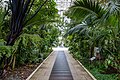 * Nomination Interior of Kew Gardens Temperate House --Mike Peel 05:58, 19 May 2025 (UTC) * Promotion Strong CAs at the upper left and right. --Sebring12Hrs 09:44, 27 May 2025 (UTC) Thanks for the review, I hadn't spotted those. CA's tweaked, does that look better? Thanks. Mike Peel 06:14, 28 May 2025 (UTC)  Support Good quality. --Sebring12Hrs 23:19, 30 May 2025 (UTC)