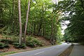 * Nomination Hamburg-Hausbruch, landscape protection area HH-2021 „Neugraben“, WDPA 323196 at Ehestorfer Heuweg --KaiBorgeest 21:32, 25 May 2025 (UTC) * Decline  Oppose Not sharp enough. --Sebring12Hrs 11:16, 31 May 2025 (UTC)