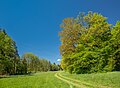 * Nomination Urlesbach valley near Humprechtshausen --Plozessor 03:18, 10 May 2025 (UTC) * Promotion  Support Good quality. --Jakubhal 04:14, 10 May 2025 (UTC)