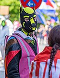 * Nomination Puppy at the 2025 Hof pride parade --PantheraLeo1359531 19:25, 30 May 2025 (UTC) * Promotion  Support Good quality. --Tuxyso 19:45, 30 May 2025 (UTC)
