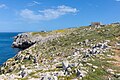 * Nomination Otranto (Apulia, Italy) - Coastal landscape East of town with former bunkers --Benjism89 09:50, 31 May 2025 (UTC) * Promotion  Support Good quality. --Sebring12Hrs 11:19, 31 May 2025 (UTC)