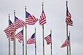 * Nomination Bandeira dos EUA em Washington --Boaventuravinicius 14:02, 30 May 2025 (UTC) * Decline  Oppose Several issues : not sharp although it's just over minimal size, a lot of CAs, bad top crop, tilted. Sorry --Benjism89 17:49, 30 May 2025 (UTC)