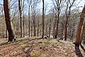 * Nomination: Hamburg-Heimfeld, landscape protection area HH-2039 „Vahrendorf Forst (Haake), Heimfeld, Eißendorf und Marmstorf", surround view on Martensbahn from hill --KaiBorgeest 22:33, 28 May 2025 (UTC) * * Review needed