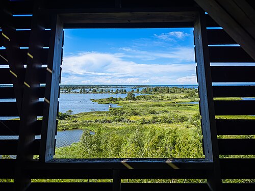 A view of the Finnish Kvarken Archipelago in the Gulf of Bothnia. Picutre is taken inside from an observation tower in Raippaluoto, Vaasa.