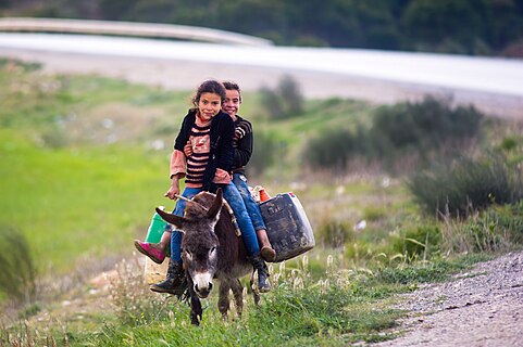 Two rural girls transporting water on a donkey.